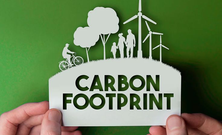 Carbon Offset Project Consultancy
